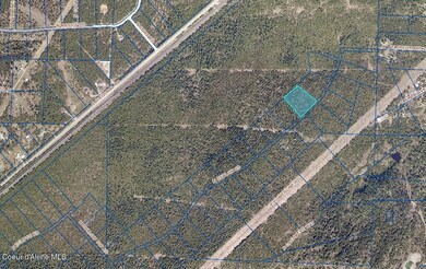 Aerial Map 2