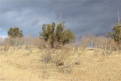 176 Musket Ln, Como, CO 80432 - photo 4