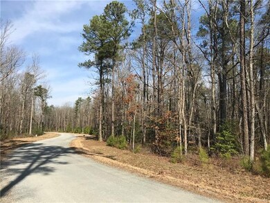 9 Farrington Place Ln, Hanover, VA 23005 - photo 4