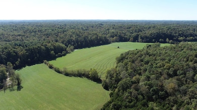 0 Phelps Dunham Rd, Edmonton, KY 42129 - photo 6