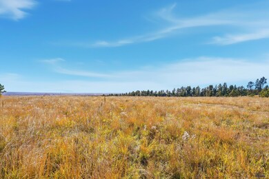 Lot17B W Minnesota St, Rapid City, SD 57701 - photo 3