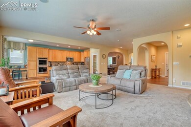 5718 Paladin Place, Colorado Springs, CO 80924 - photo 5