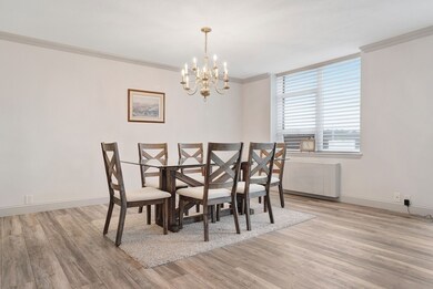 Imperial Towers unit 615, Chestnut Hill, MA 02467 - photo 4