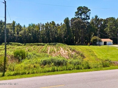 0 La Grange Rd unit 100529232, La Grange, NC 28551 - photo 5