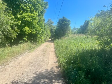 6576 Us Highway 31, Berrien Springs, MI 49103 - photo 2