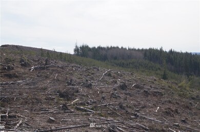 0 M.P. 62 U S 101, Raymond, WA 98577 - photo 7