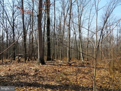 0 John Brown Farm Rd unit 1000219429, Harpers Ferry, WV 25425 - photo 7