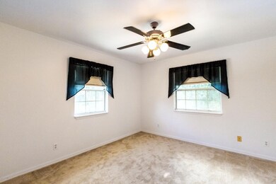 Florida Palm-2770