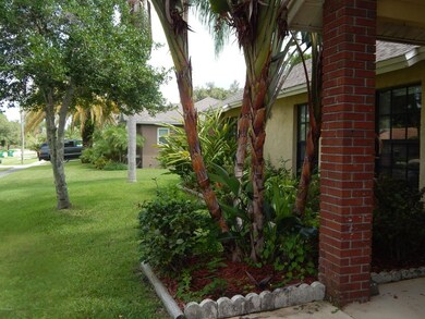 Mature Landscaping