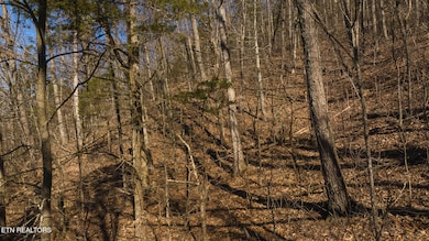 13 Edens Rd, Tusculum, TN 37745 - photo 3