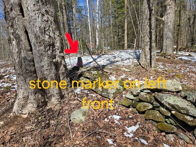 0 Yale Rd unit 73227296, Cummington, MA 01026 - photo 5