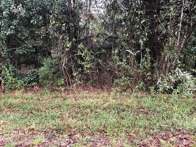 0 Curry Dr, Macon, GA 31211 - photo 3