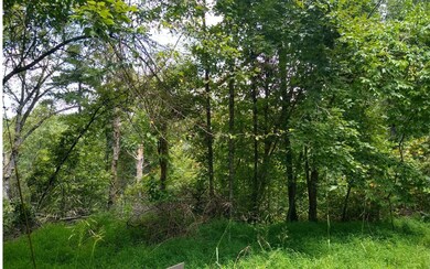 Additional View