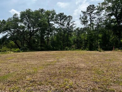 image5 (1)