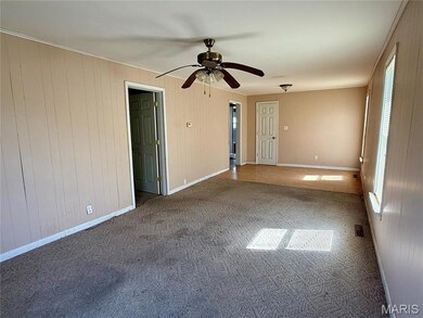 802 E Main St, Christopher, IL 62822 - photo 4