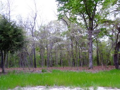 DSC06444