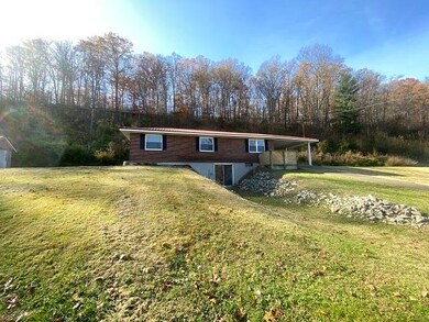10443 State Route 5, Ashland, KY 41102 - photo 2