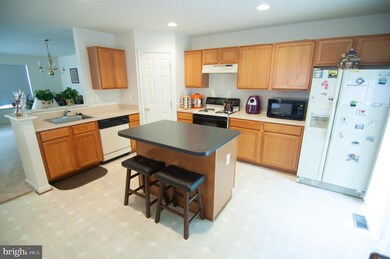 4162 Brown Bark Cir, Randallstown, MD 21133 - photo 5