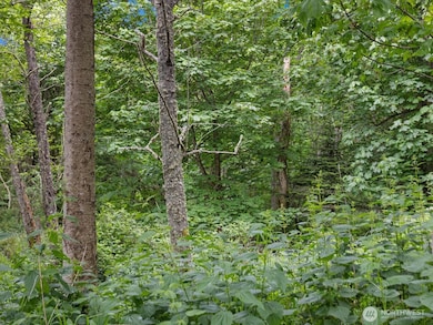 4061 S Eagle Ridge Dr, Camano, WA 98282 - photo 2