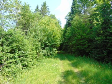 00 Hoyt Rd, Stewartstown, NH 03597 - photo 6