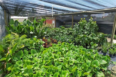BEAUTIFUL SELECTION OF SHADE AND SUN PLANTS
