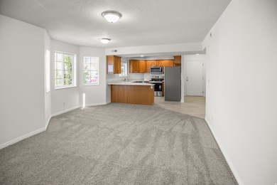carpet, and open floor plan