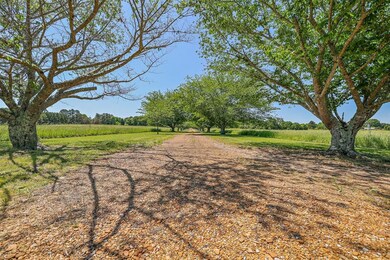 535 Highway 30 E, Oxford, MS 38655 - photo 2