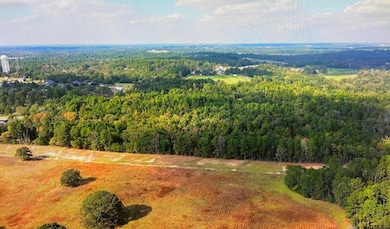 17278 N Highway 69, Tyler, TX 75703 - photo 4