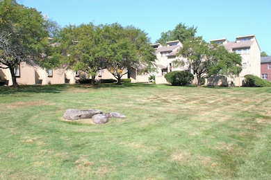 Large Yard in Complex