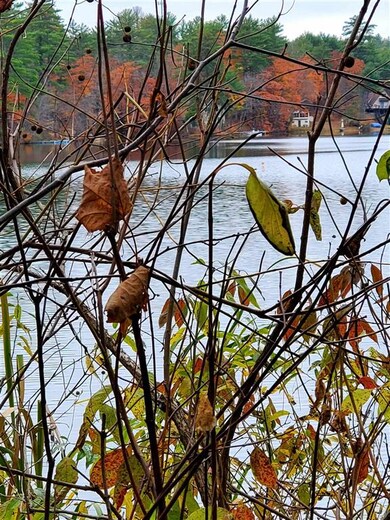 0 Stanley Shores, Hiram, ME 04041 - photo 7