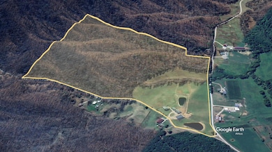 4445-3 Pine Grove Rd, Means, KY 40346 - photo 5