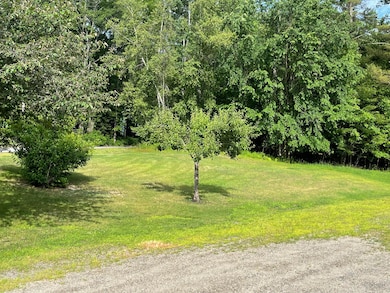 107 Hall Hill front lawn