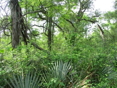 000 County Road 858, Brazoria, TX 77422 - photo 6