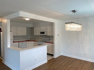 1108 Castilian Ct unit E226, Glenview, IL 60025 - photo 3