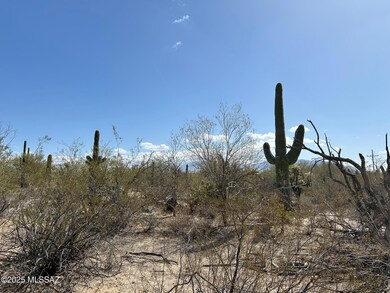 5120 W Lambert Ln, Oro Valley, AZ 85742 - photo 5