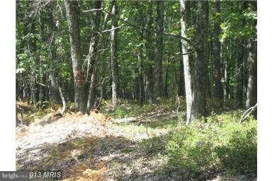 0 Deep Spring Rd unit 1003582428, Dorcas, WV 26847 - photo 5