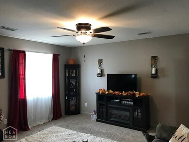 3801 Shelby Dr, Paragould, AR 72450 - photo 3