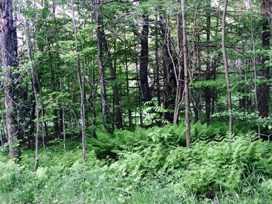 0 Safford Rd unit 4241442, Hartford, VT 05059 - photo 4