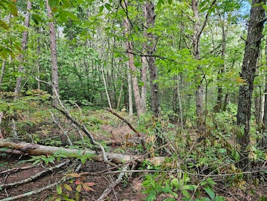 Lt 32 Belaire Dr, Copperhill, TN 37317 - photo 2