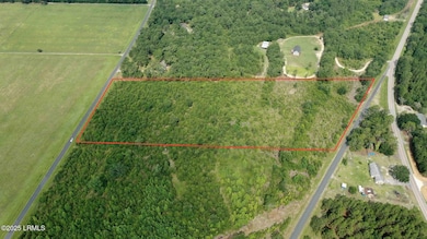 Tbd Mulberry Rd, Barnwell, SC 29812 - photo 3