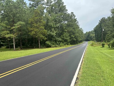 00 Moore Mountain Rd, Pittsboro, NC 27312 - photo 4