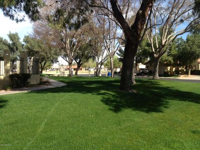 Community Common Area & Trees