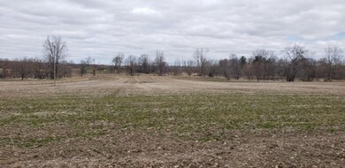 Parcel A Jefferson Rd, Ionia, MI 48846 - photo 5