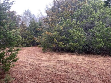 25030 Forrest Dr, Whitney, TX 76692 - photo 3