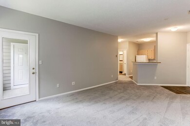 14314 Climbing Rose Way unit 203, Centreville, VA 20121 - photo 7