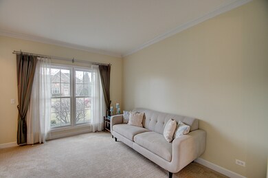 248 Violet Ln, Batavia, IL 60510 - photo 5