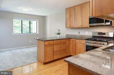 1663 Parkcrest Cir unit 201, Reston, VA 20190 - photo 7