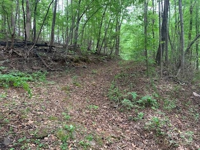 42.16 ACS Green River Cove Rd unit 42.162 AC., Saluda, NC 28726 - photo 5