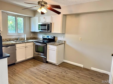 619 Rosetta Dr, Florissant, MO 63031 - photo 5