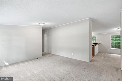 12223 Longleaf Rd, Ruther Glen, VA 22546 - photo 5